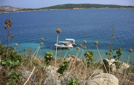 Sardinien